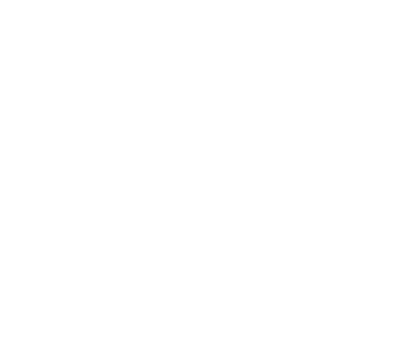 Hamsaye Logo – Decentralized Neighborhood Storage